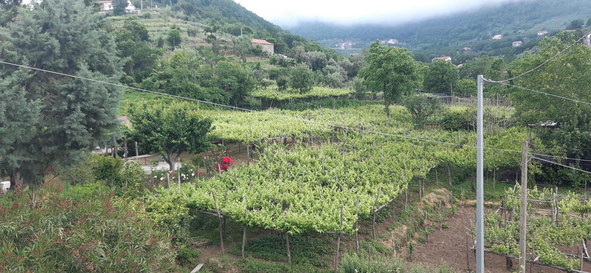 ترامونتي Agriturismo Mare E Monti المظهر الخارجي الصورة