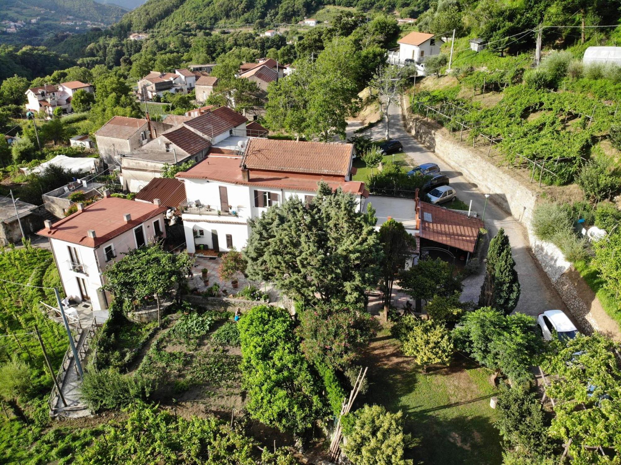 ترامونتي Agriturismo Mare E Monti المظهر الخارجي الصورة