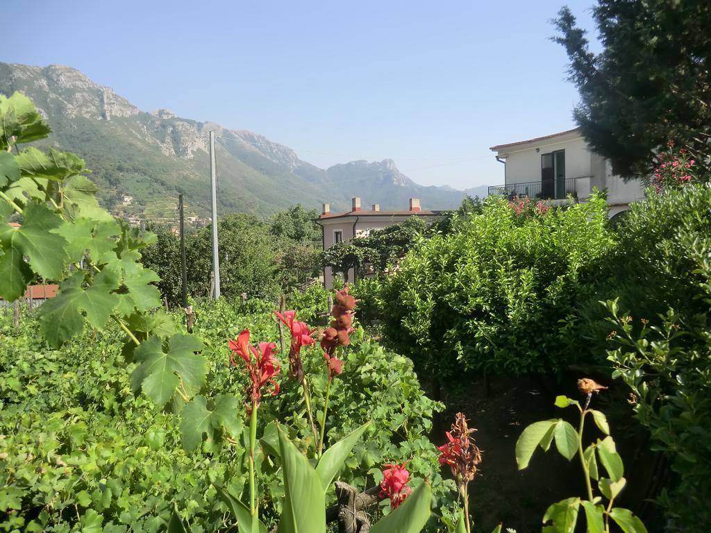 ترامونتي Agriturismo Mare E Monti المظهر الخارجي الصورة