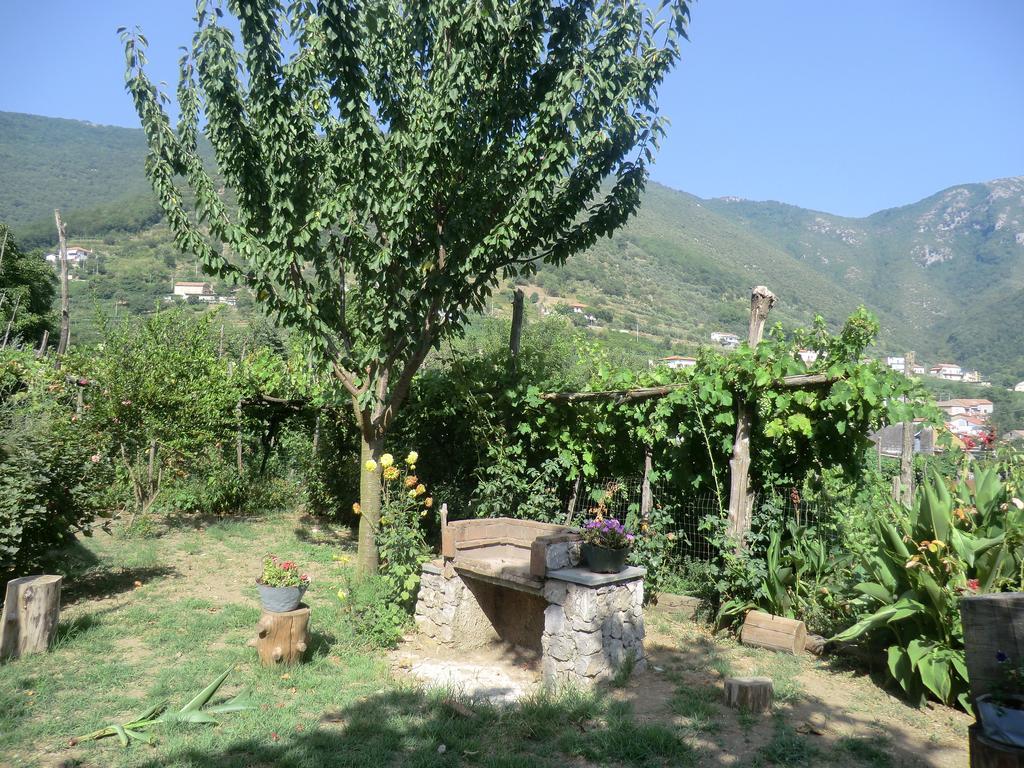 ترامونتي Agriturismo Mare E Monti المظهر الخارجي الصورة