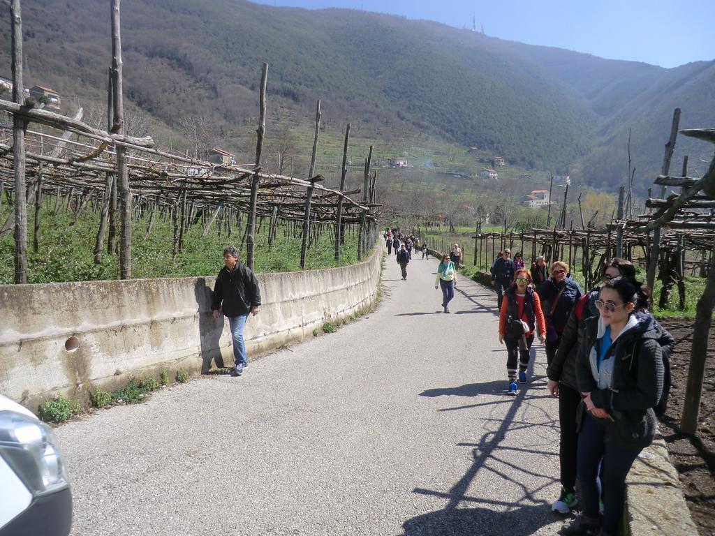 ترامونتي Agriturismo Mare E Monti المظهر الخارجي الصورة